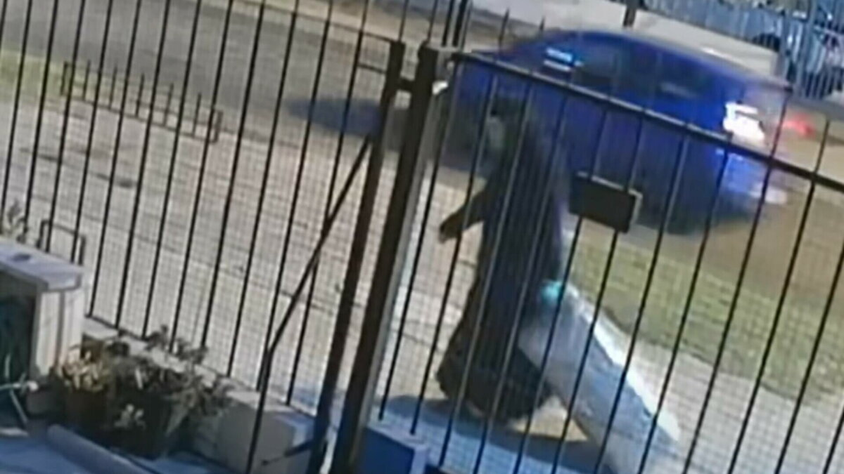 Maicuță filmată în timp ce transporta o altă măicuță moartă de un an