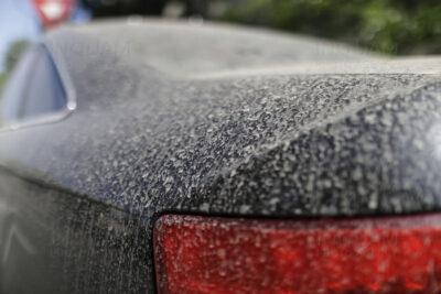 Vreme neobișnuită în România. Praf saharian și vânt puternic în următoarele zile