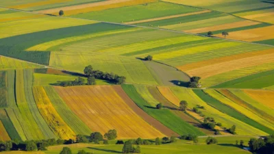 Boom pe piața terenurilor agricole din Iași: tranzacțiile au crescut cu 10% față de 2023
