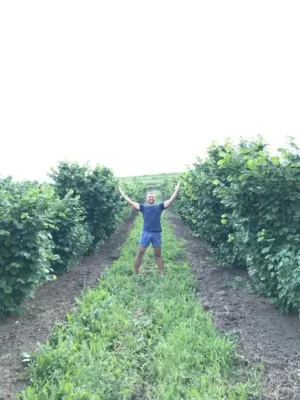Un tânăr fermier din Alba a dat lovitura cu o plantație de aluni rezistentă la secetă și câștigă 70.000 de euro din export