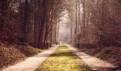 „Nu iubiți lumea, nici cele ce sunt în lume”