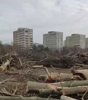 Război cu natura în Parcul IOR! Mini-pădurea a fost distrusă, iar autoritățile stau pe margine
