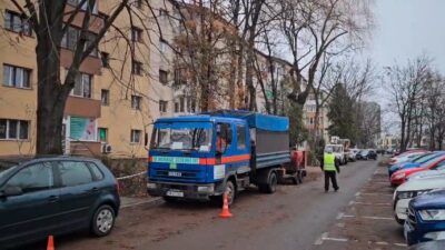 Timişoara: O femeie lovită de o creangă căzută în timpul toaletării copacilor. Poliţia a deschis dosar penal