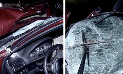Tragedie pe DN4! Doi soți și-au pierdut viața într-un accident provocat de viteză excesivă