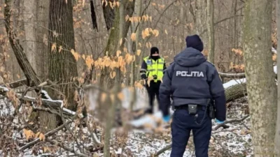 Descoperire terifiantă în pădurea de lângă Botoșani! Cadavrul unui bărbat dispărut a fost găsit pe câmp