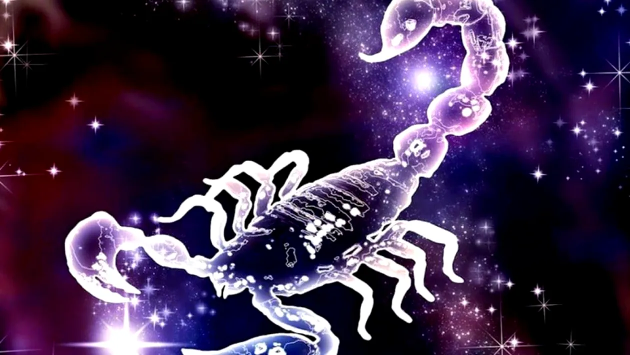 https www.cancan.ro wp content uploads 2020 11 scorpion cross 4 19 78887500