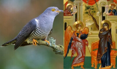 Ce NU este bine să faci MÂINE, de Buna Vestire!