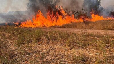 Armata, chemată de urgență să stingă incendiile de vegetație din Caraș-Severin și Hunedoara