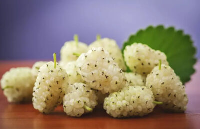 Fructele de dud, aliatul surprinzător în lupta cu tumorile, diabetul și hipertensiunea! Ce trebuie să știi despre beneficiile lor uimitoare