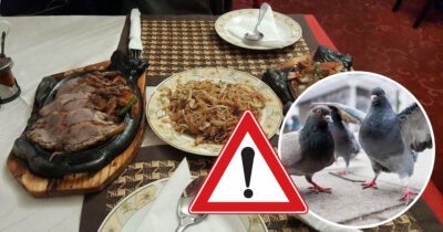 Șoc și groază! Restaurant servea porumbei în loc de rață! Patronul- anchetat penal!