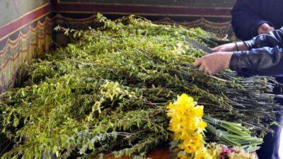 Rugăciunea de Florii – binecuvântarea salciei