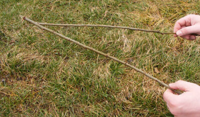 Pentru a crește sănătoși, de Florii, părinții își lovesc simbolic copiii cu o nuielușă de salcie sfințită!