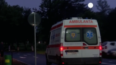 Șocant! Copil de 2 ani sfâșiat de câini fără stăpân în Medgidia! Martorul curajos care i-a salvat viața
