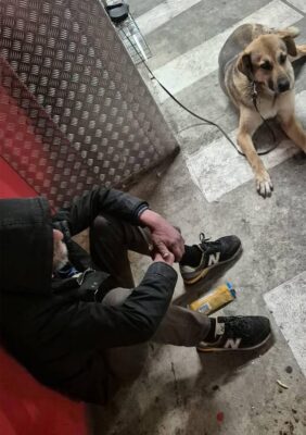 Un om fără nimic, dar cu un cățel alături. Povestea care a înduioșat Clujul!