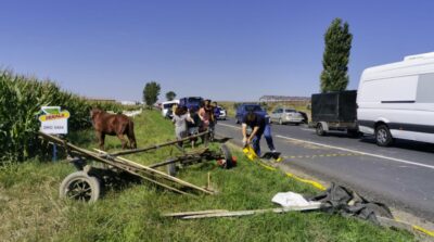 Șase răniți după ce o tânără a intrat cu mașina pe contrasens și a lovit o căruță în Maramureș! Ce au descoperit polițiștii după testarea șoferiței și căruțașului
