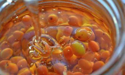 Catina cu miere, leacul minune pentru imunitate! Beneficii uimitoare pentru copii și adulți!