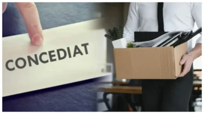 Breaking! 643 de posturi desființate la CJ Timiș! Peste 500 de angajați rămân fără locuri de muncă până în septembrie!