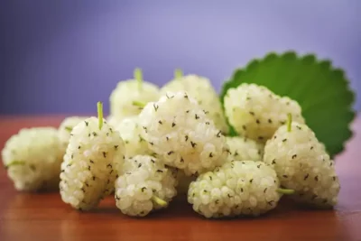 Ceaiul din frunze de dud: secretul natural care scade glicemia și controlează diabetul