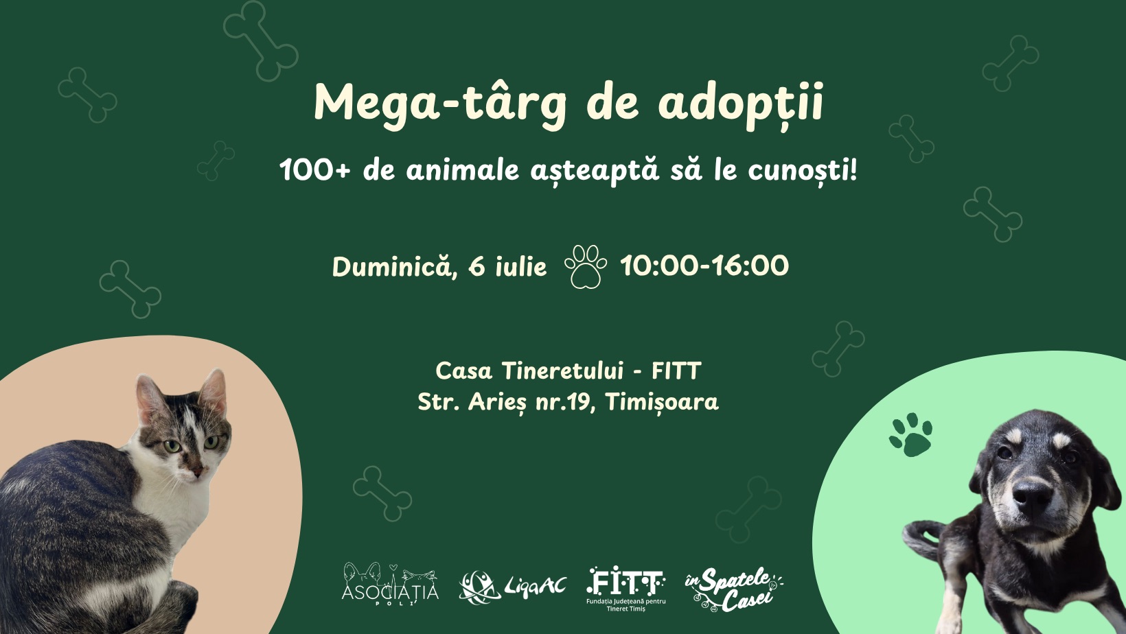 Mega targ de adoptii