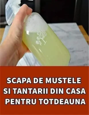 Rețetă simplă de săpun insecticid de casă! Cum să scapi rapid de insectele din grădină și plantele de apartament