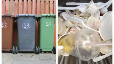 Anunț de ultimă oră pentru românii care stau la curte! Cum pot transforma recipientele din plastic aruncate la gunoi în mini-sere eficiente!