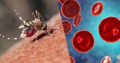 Alertă în București! Bărbat diagnosticat cu malarie fără să fi călătorit în străinătate!