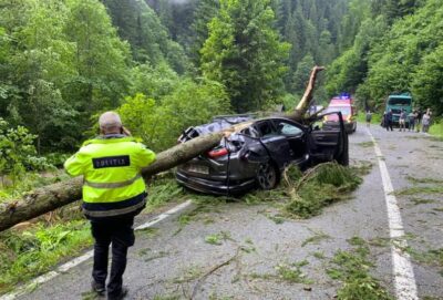 Panică în Argeș! Copac prăbușit peste o mașină – Intervin pompierii de urgență!