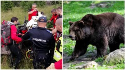 Alertă uriașă în Argeș! Urșii terorizează localnicii, zeci de apeluri la 112