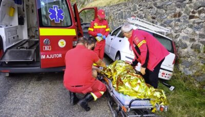 Atac violent în Munții Făgăraș: Tânăr rănit de câinii unei stâne, câinele său ucis