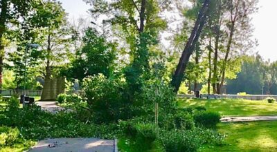 Furtună violentă la Timișoara: bărbat rănit de copac, cod roșu de caniculă și vijelii în țară