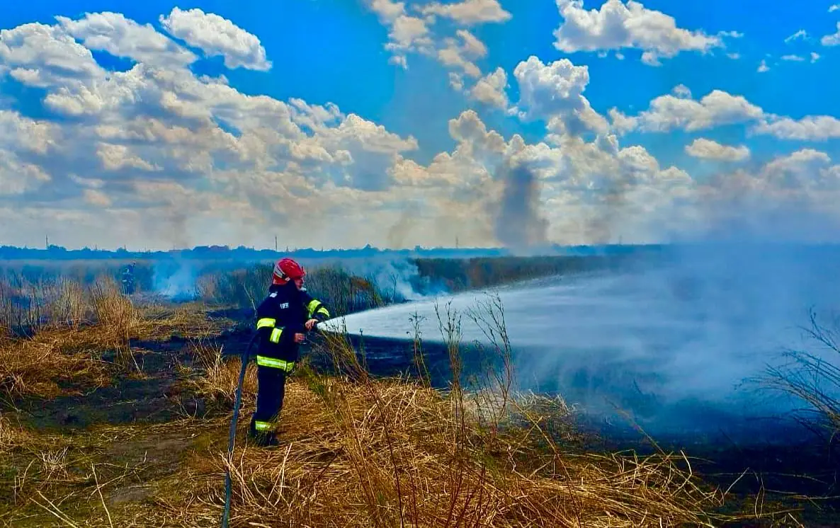 Dezastru in Arges Flacarile au mistuit 45.000 de metri patrati