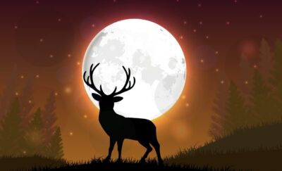 Horoscop 15 octombrie: Soarta se întoarce pentru 4 zodii! Începe cea mai bună perioadă din viața lor