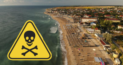 Alertă în Marea Neagră! Pește toxic „criminal” descoperit în ape – amenințare pentru pescuit și sănătate!