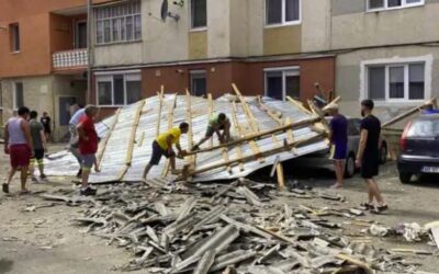 Vijelia a măturat Timișul! Copil prins sub acoperișul prăbușit, zeci de copaci doborâți și drumuri blocate!