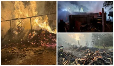 Incendiu violent! Două case și un depozit mistuite de flăcări, pompierii au salvat o a treia locuință!