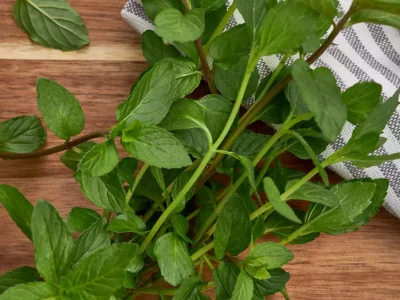 Apa cu mentă: beneficii dovedite pentru digestie, piele și energie în 10 zile