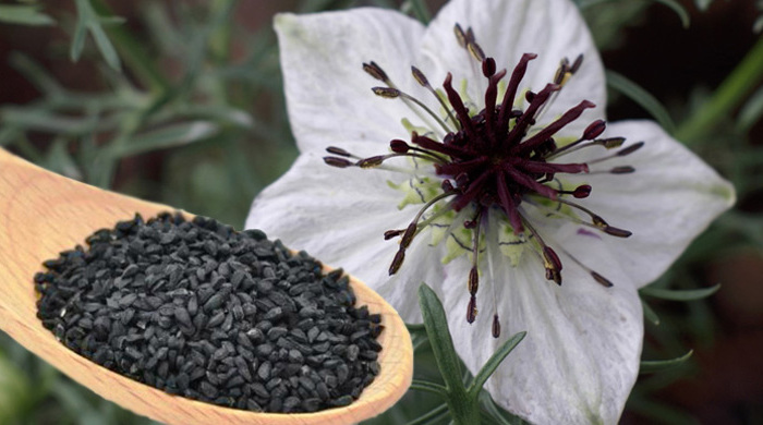 Uleiul de chimen negru