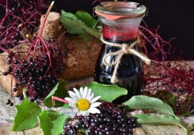 Vinul din fructe de soc