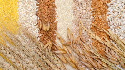 Meiul, cereală naturală care stimulează colagenul și întinerește pielea eficient