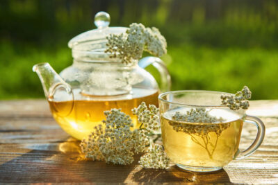 Descoperă coada‑șoricelului: remediul natural pentru gastrită, colon iritabil și detoxifiere hepatică