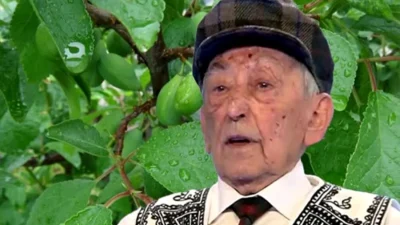 Rețeta autentică Ovidiu Bojor: remediu natural cu frunze de prun și lapte de capră pentru sănătatea vaselor sanguine