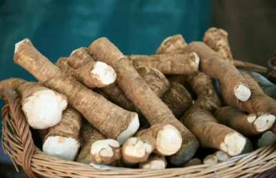 Cataplasma cu hrean crud: secretul natural pentru tuse, bronșită și dureri reumatice