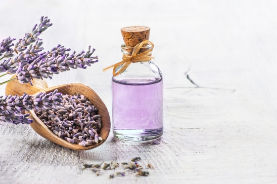 lavanda 1