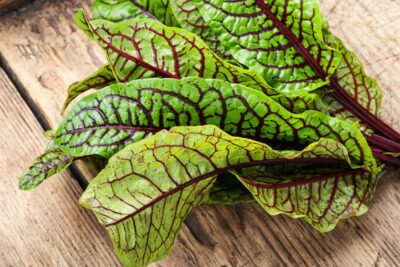 Descoperă secretul măcrișului: planta miraculoasă care îți purifică sângele și te scapă de toxine!