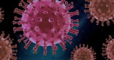Alerta medicală: Virusul West Nile ucide în Italia și România – cum te protejezi