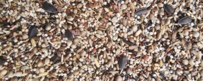 Află secretul naturii care îți curăță colonul complet în doar 4 zile – rezultatele au uimit experții!