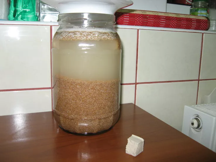 Borsul de casa