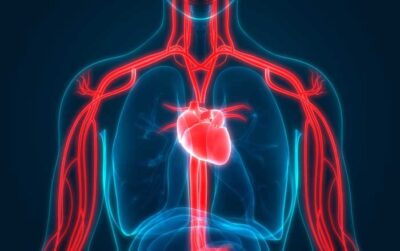 Descoperă cele 5 plante miraculoase recomandate de Ovidiu Bojor care îți salvează inima și sistemul circulator!