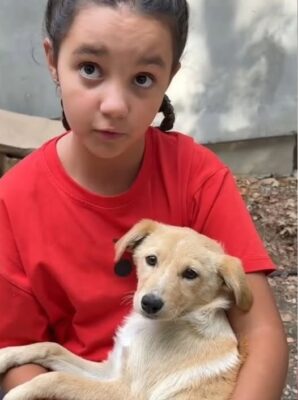 Nu o să crezi ce a făcut Eva Măruță când a găsit un cățel maidanez! Inima ta va fi topită instant!