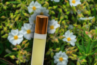 Descoperă secretul miraculos al mirului: Cum te poate vindeca spiritual și fizic în doar câteva minute!